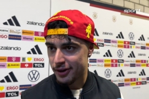 德国争夺世界杯冠军？帕夫洛维奇：如果像今天这样踢就有机会